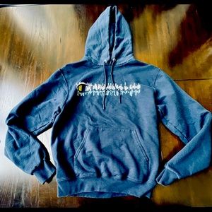 Blue Mens Champion Pullover Hoodie